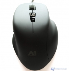 Attitude One_Rapira_One_15