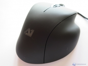 Attitude One_Rapira_One_30